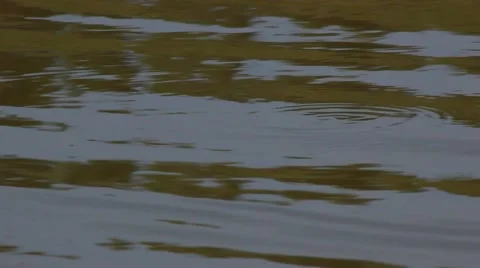 Water surface in a small reservoir. Smooth waves. Stock Footage 62796224