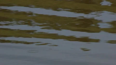 Water surface in a small reservoir. Smooth waves. Stock Footage 62796225