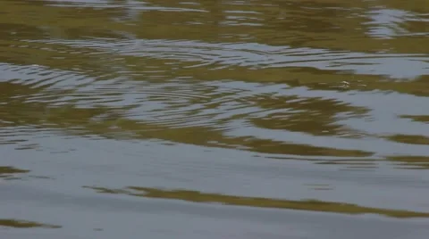 Water surface in a small reservoir. Smooth waves. Stock Footage 62796231