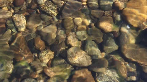 Water surface in a small reservoir. Smooth waves. Stock Footage 63361763