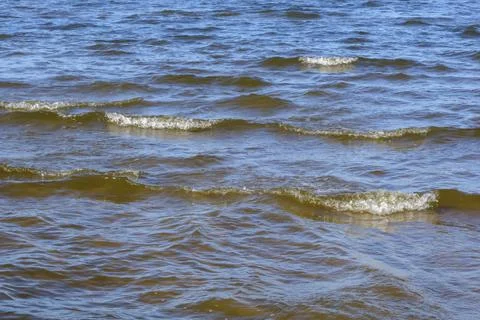 Water surface with small shallow waves. Beautiful seascape Foto stock