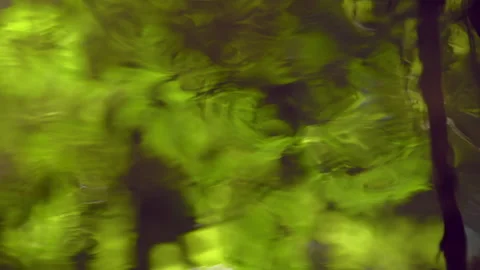 Water surface of small stream with trees reflecting in it. High quality audio Stock Footage 140632874