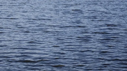 Water surface with small waves Stock Footage 109212815