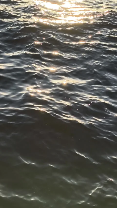 Water surface with smooth waves and golden sunlight sparkling across rippling Stock Footage 327974777