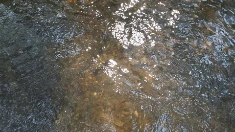 The water surface of the stream. Stock Footage 126658281