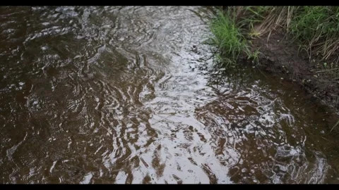 Water Surface, Stream, River Flowing, Bank Edge Stock Footage 336066613