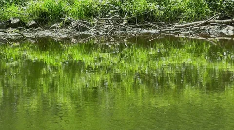 Water Surface With Sunlight Reflections Stock Footage