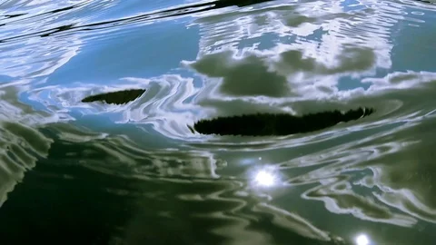 Water surface on a sunny day Stock Footage 116307566