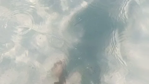 Water surface texture, Refraction of sunlight top view texture sea side, 스톡 동영상 125415317