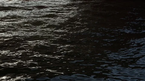Water surface texture, slight agitation Stock Footage 115216529