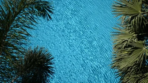 Water surface texture. top view of the pool Vidéo 138382749