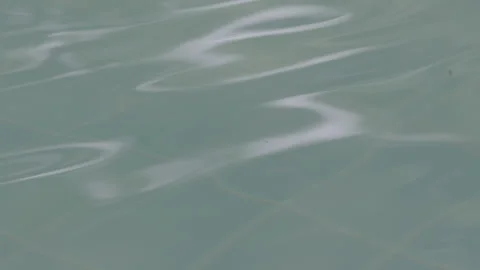 Water surface texture top view. Motion clean swimming pool ripples and wave. Stock Footage 338301078