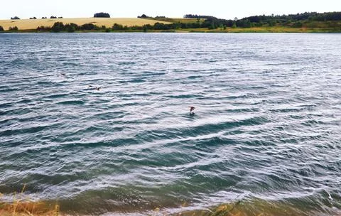 Water surface. The texture of the water. Waves on the lake in windy weather. Stock Photos