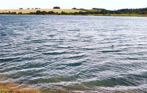 Water surface. The texture of the water. Waves on the lake in windy weather. Stock Photos