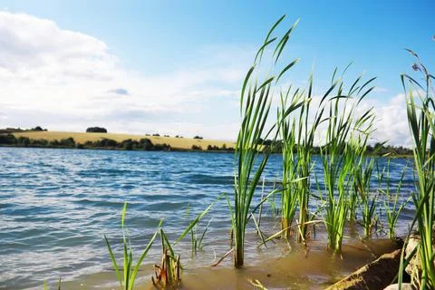 Water surface. The texture of the water. Waves on the lake in windy weather. Stock Photos