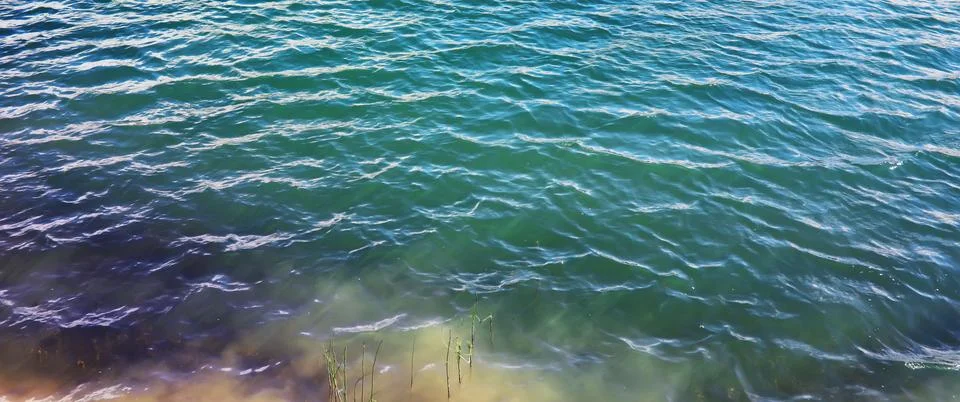 Water surface. The texture of the water. Waves on the lake in windy weather. Stock Photos
