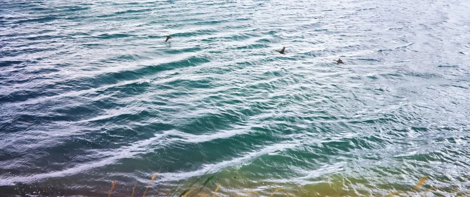Water surface. The texture of the water. Waves on the lake in windy weather. Stock Photos