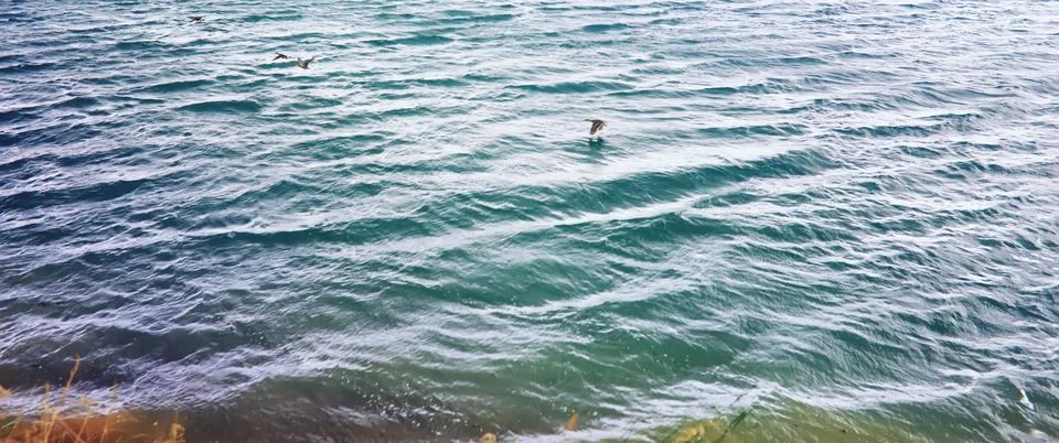 Water surface. The texture of the water. Waves on the lake in windy weather. Stock Photos