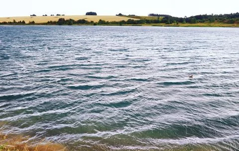 Water surface. The texture of the water. Waves on the lake in windy weather. Stock Photos