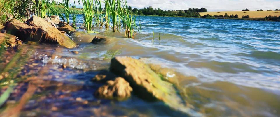 Water surface. The texture of the water. Waves on the lake in windy weather. Stock Photos