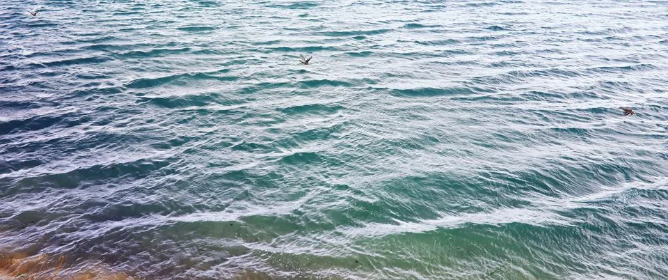 Water surface. The texture of the water. Waves on the lake in windy weather. Stock Photos