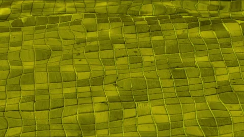 Water Surface in Vibrant Yellow Background Texture Stock Footage 312291754