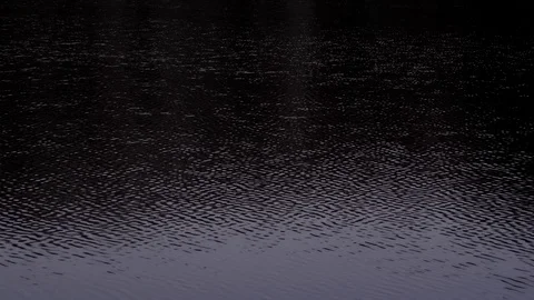 Water surface. Water surface in a lake, river or pond. Stock Footage 121746644