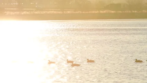 Water surface wave sunrise light reflection, cinematic look Stock Footage 255664876