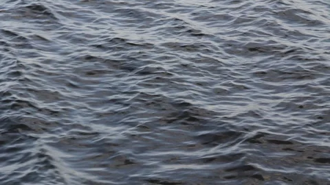 Water surface. Waves and ripples on the pond Stock Footage 94217285