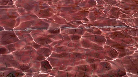 Water surface with waves and small ripples from the wind with a caustic effect Stock Footage 104016223