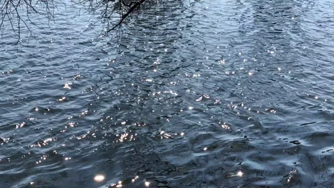 Water surface with waves glittering in the sunlight Stock Footage 106131809