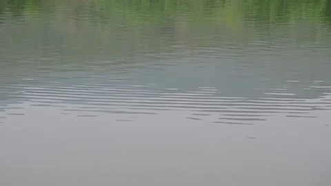 Water surface with waves ripples and reflection of the birds flying. Stock Footage 154930520