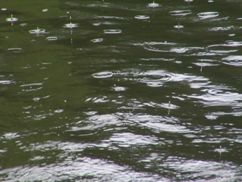 Water Surface Waves Ripples Rain Pond Lake River 動画素材 7764480