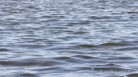 Water surface. Waves on river water Video stock 93916698