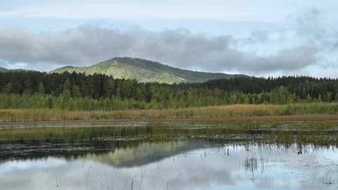 The water surface in which the green mountain is reflected Stock Footage 146955285