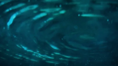 Water surface whith circle waves. Stock Footage 71600032
