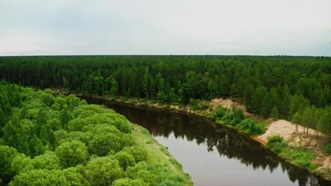Water surrounded by woods. Tranquil Disruption, Fallen Pines, River Winds Stock Footage 257769505