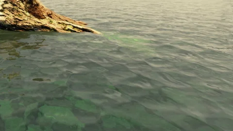 Water surrounds a tree trunk that is partially submerged in a lake Stock Footage 340210440