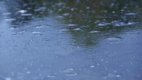 Water in the swamp Stock Footage 80436626