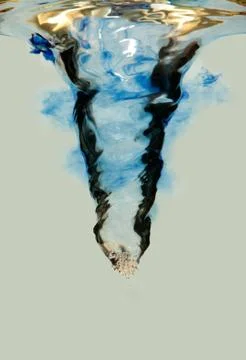 Water swirl vortex Stock Photos
