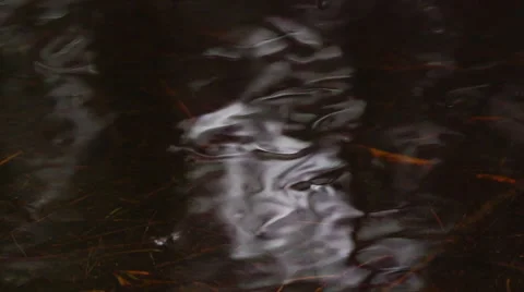 Water swirls Stockbeeldmateriaal 43132188