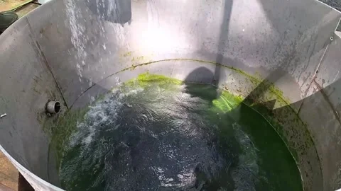 Water Tank Shadow Stock Videos – Royalty-Free HD & 4K Videos