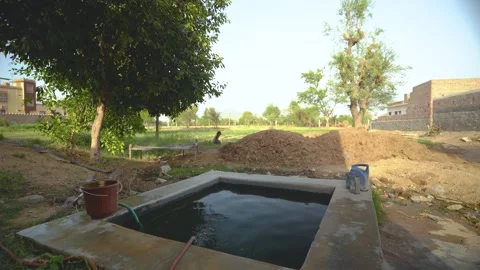 Water Tank Under Tree Shade Near Fields Stock Footage 325088997