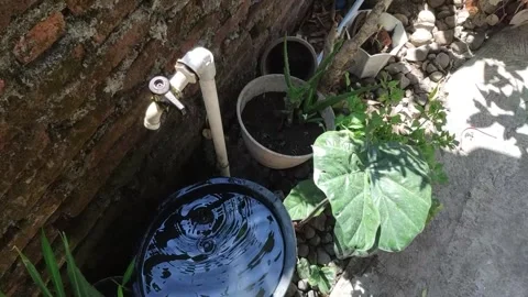 A water tap that is leaking because the tap is not closed tightly Stock Footage 287842007