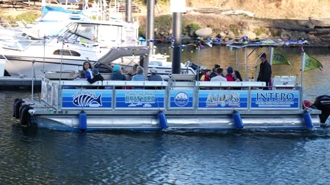 A water taxi. Vídeos de archivo 313857582