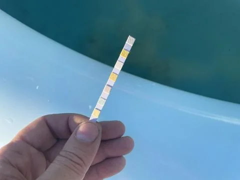Water test strips checking pool water quality Stock Photos