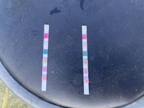 Water test strips checking pool water quality Stock Photos