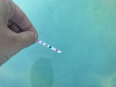Water test strips checking pool water quality Stock Photos