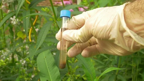 Water testing for environmental science Stock Footage 92053004