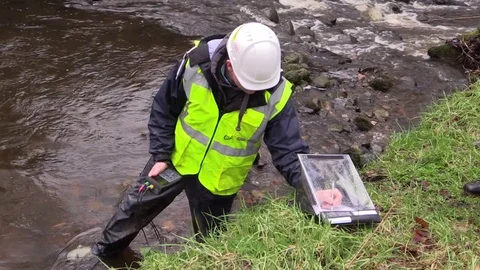 Water testing in a river with workers wearing High-visibility clothing Stock Footage 105597274